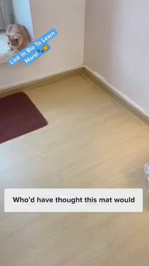 Pawora Clean Mat™ – Stop Litter Mess Instantly 🐾