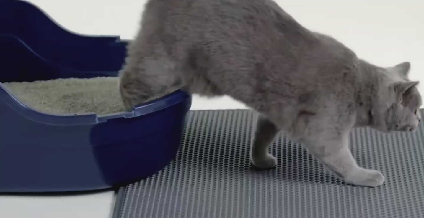 Pawora Clean Mat™ – Stop Litter Mess Instantly 🐾